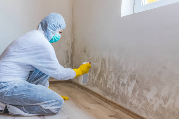 Licensed Crawl Space Mold Removal service in Jacksonville, IL - WQB Mold Removal