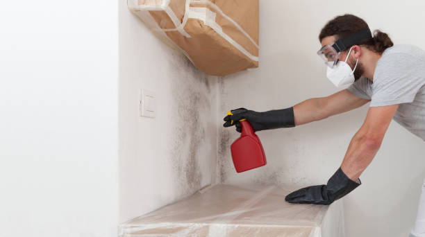 Professional Crawl Space Mold Removal technician working in Jacksonville, IL