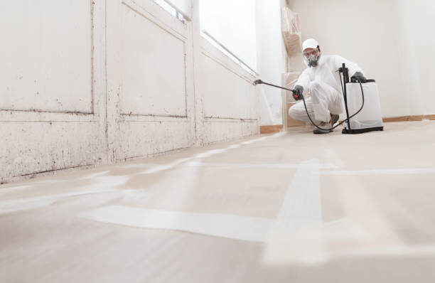 24/7 Emergency Crawl Space Mold Removal experts in Jacksonville, IL