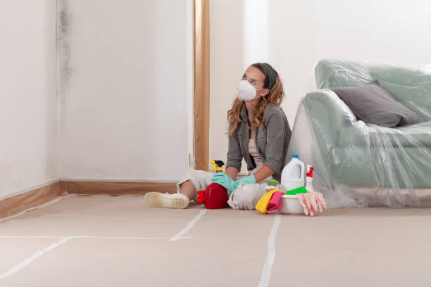 Reliable Crawl Space Mold Removal contractor in Jacksonville, IL by WQB Mold Removal