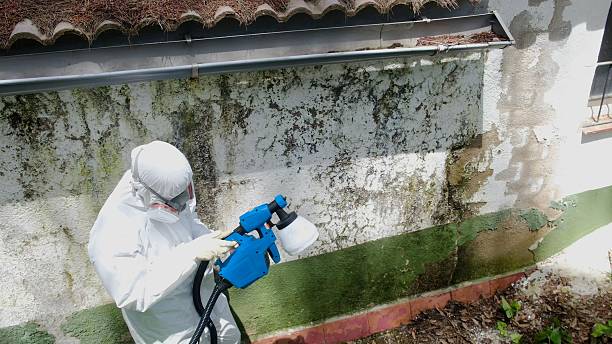 Top rated local Crawl Space Mold Removal specialists in Jacksonville, IL